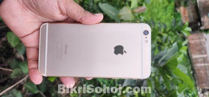 iPhone 6 plus
